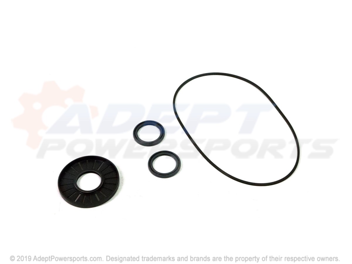 Polaris 3235484 Complete Seal Repair