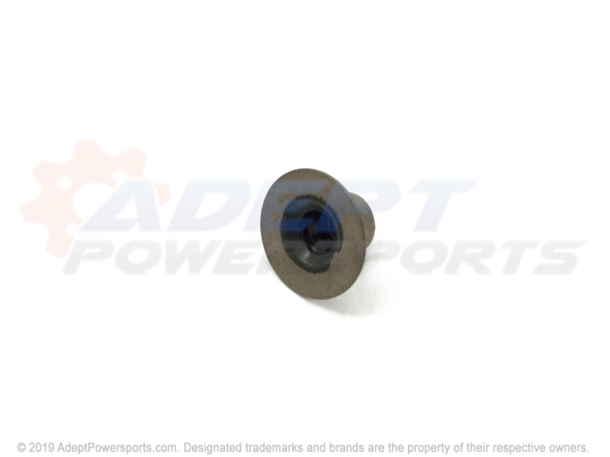 Polaris 5910394 Seat-W/Seal, Valve, Spring