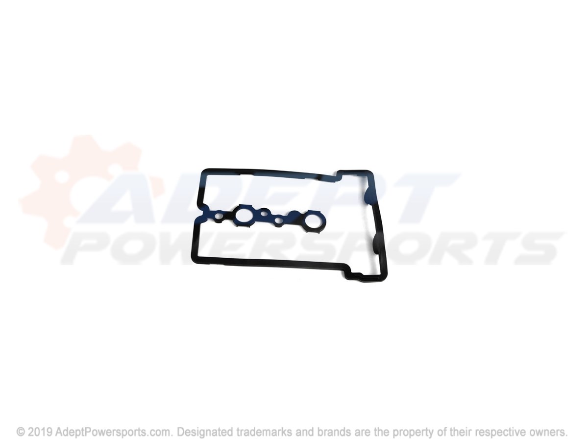 Polaris 5415011 Seal-Valve, Cover, 2Cy, Dohc
