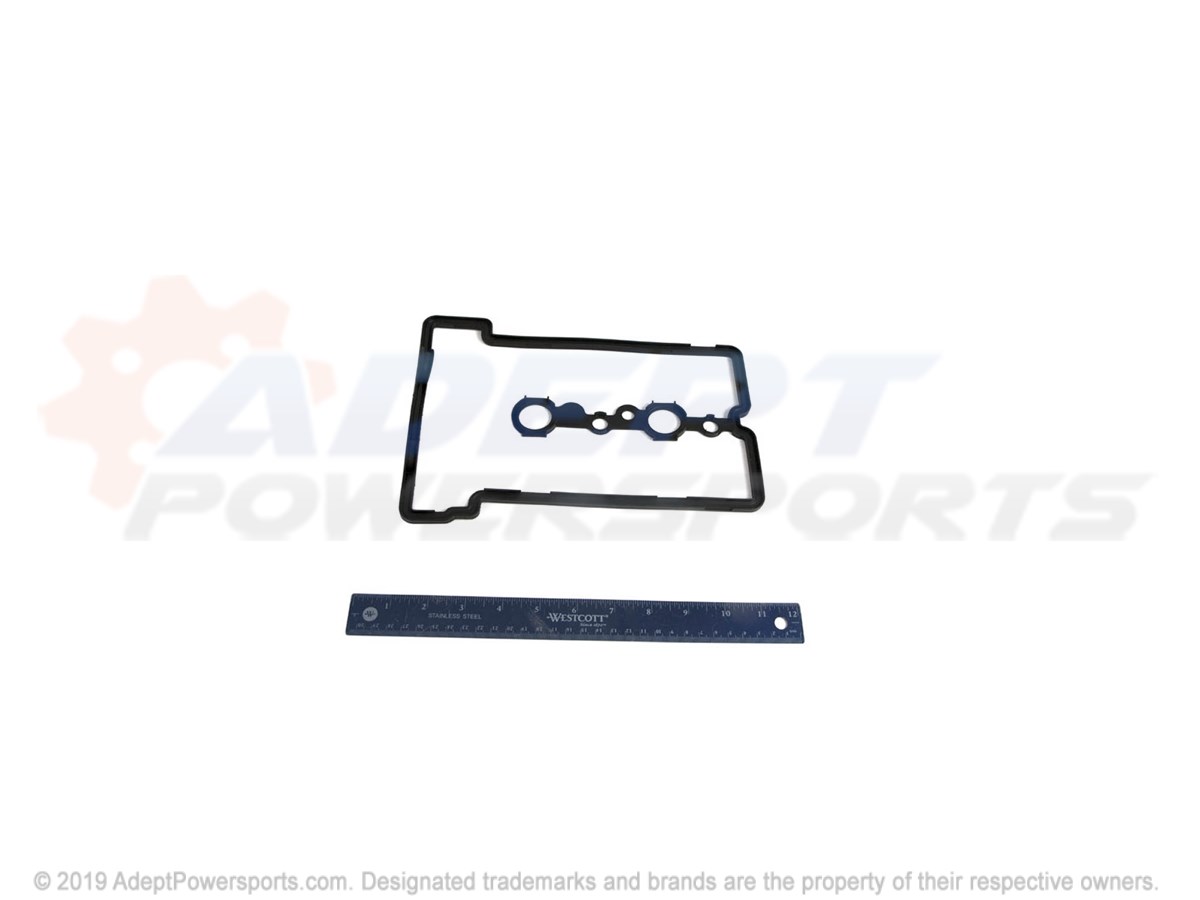 Polaris 5415011 Seal-Valve, Cover, 2Cy, Dohc