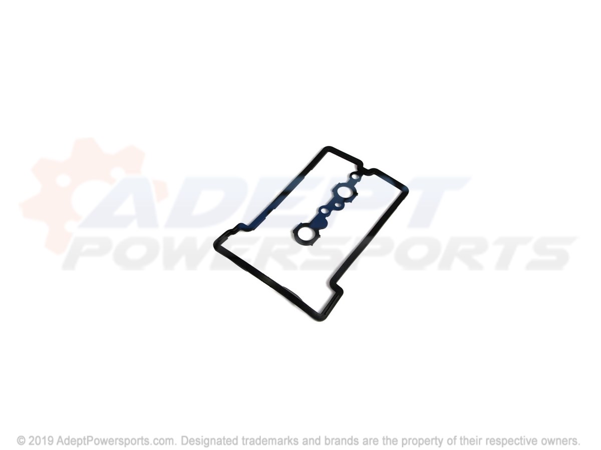 Polaris 5415011 Seal-Valve, Cover, 2Cy, Dohc