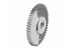 Polaris 6230548 Gear, Driven, Balancer