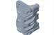 Polaris 1912375 Asm-Brk-Cal-R-Db1-3/16-Grooved