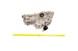 Polaris 2205748 Kit-Long Block Atv570 Etc