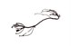 Polaris 2412859 Harness-Chassis, Crew, Eps
