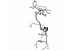 Polaris 2412924 Harness-Chassis, 570, Eps