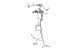 Polaris 2412735 Harn-Main, Spmn570, Etc, Eps, Trg