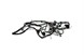 Polaris 2413237 Harness-Chassis, Rzr, 900, Eps