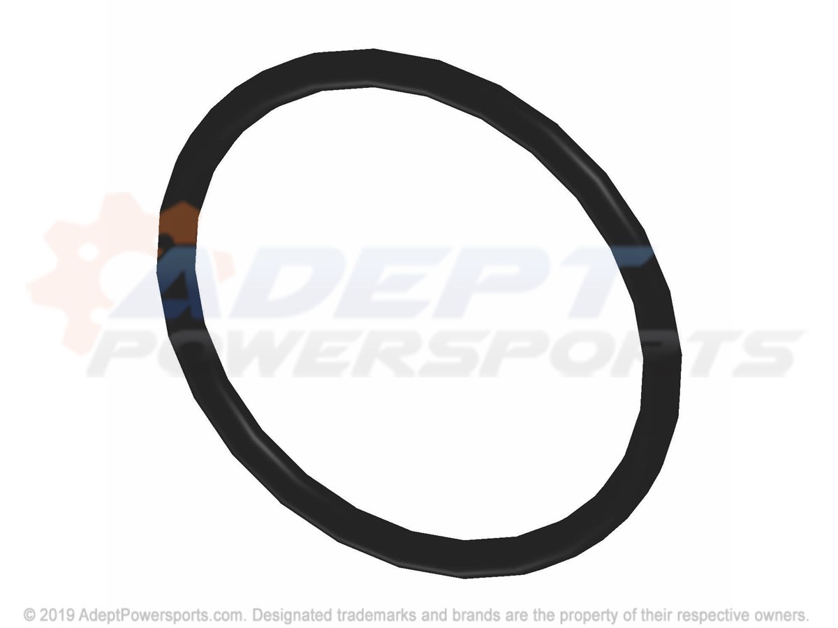 Polaris 5415647 O-Ring