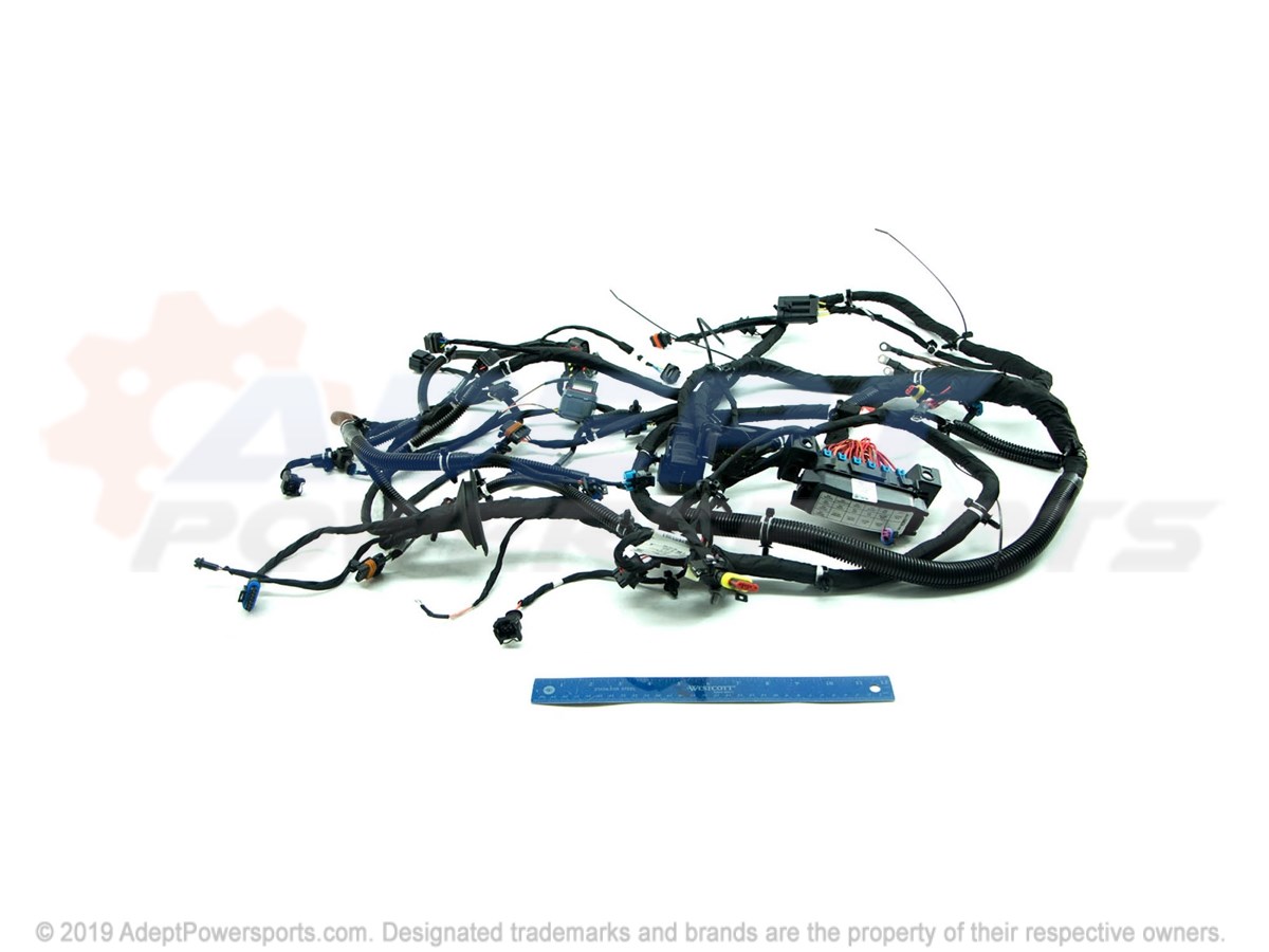 Polaris 2412940 Harness-Chassis, Rzr, T, 64
