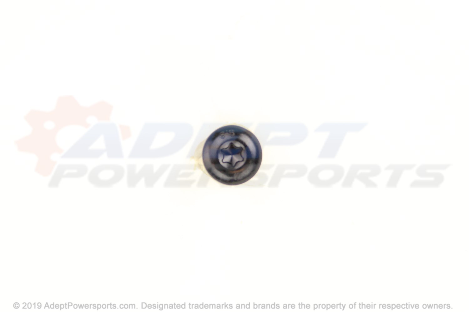 Can-Am 250000761 Torx Truss Screw M8 X 50. Package Hunter