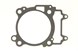 Polaris 5260934 Gasket-Base