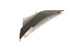 Polaris 5439641-602 Fender-Front, Rh, T-Metallic