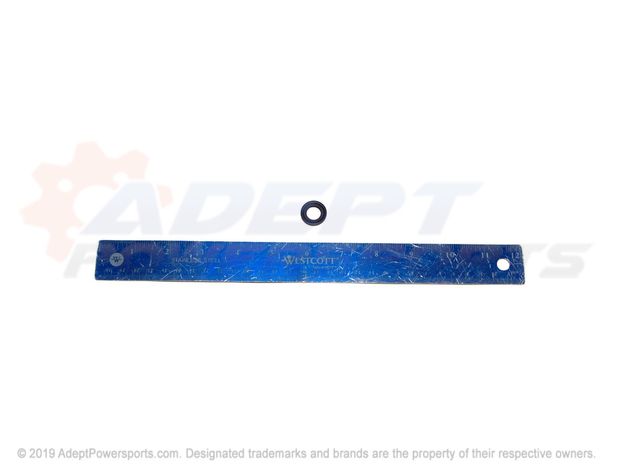 Polaris 12616850 Seal, Oil, Pan, Drain, Plug, Gm