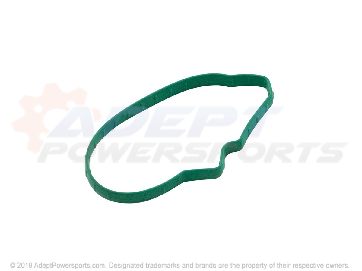Polaris 12580395 Seal, Throttle, Body, Gm