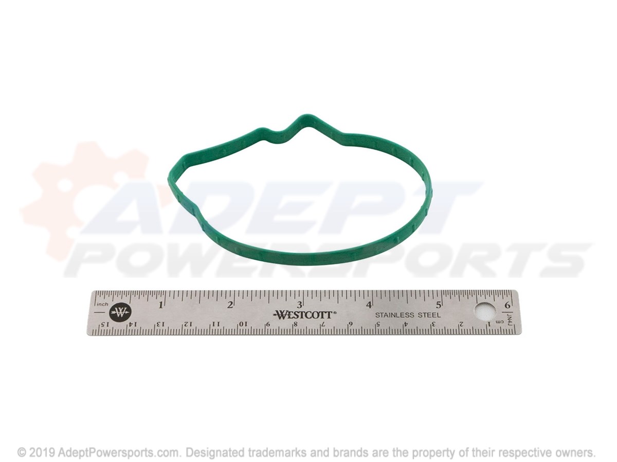 Polaris 12580395 Seal, Throttle, Body, Gm