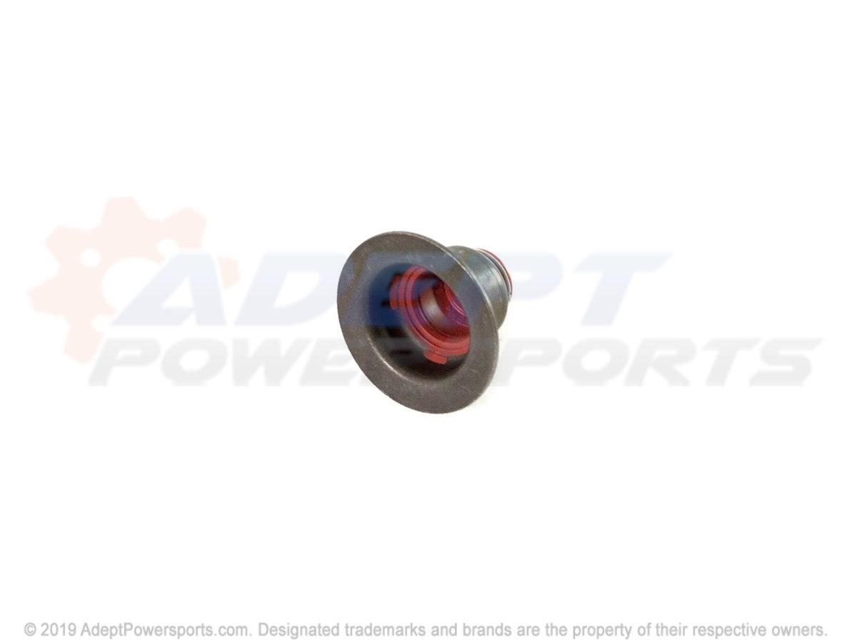 Polaris 90537241 Seal, Valve, Stem, Oil, Gm