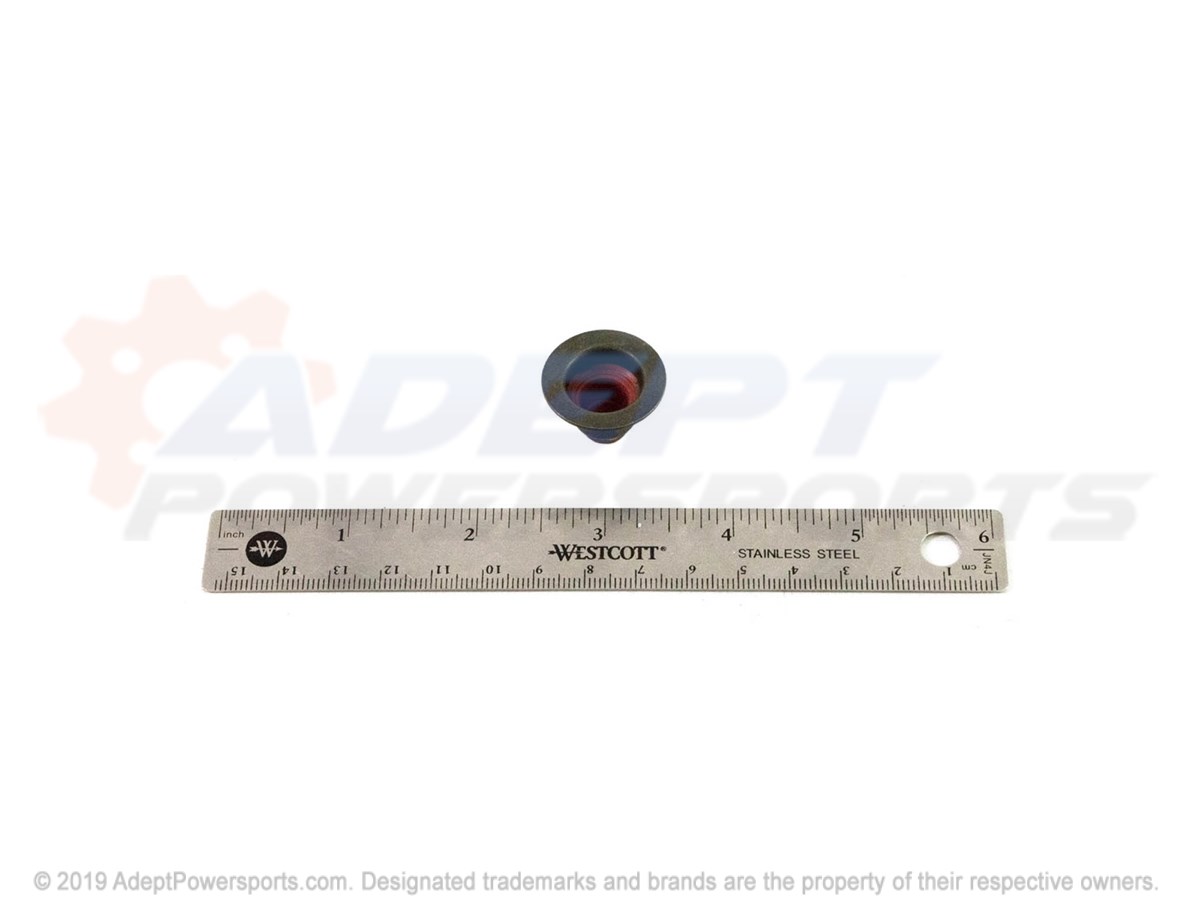 Polaris 90537241 Seal, Valve, Stem, Oil, Gm