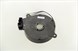 Polaris 4016020 Module-Clock, Spring, 2, Ckt