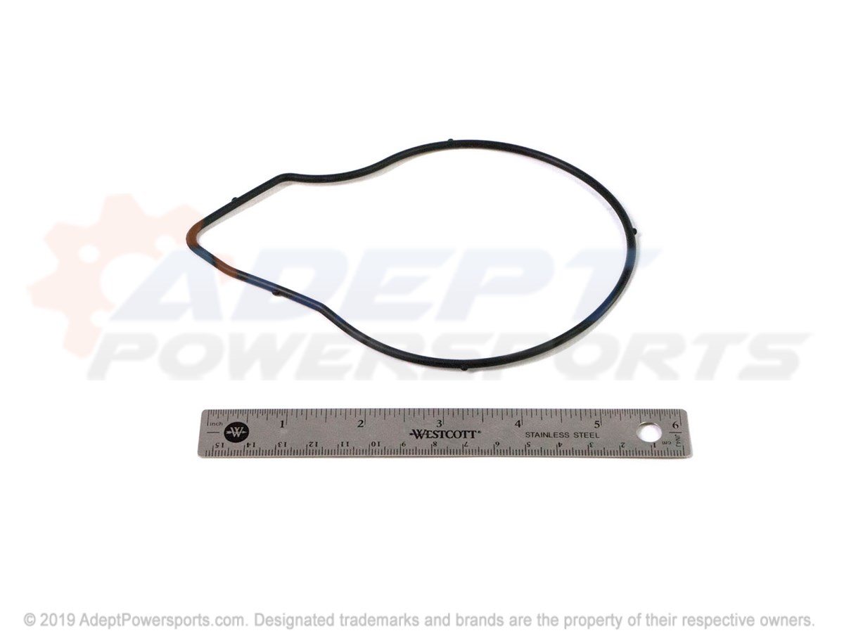 Polaris 24446365 Seal, Water, Pump, Cover