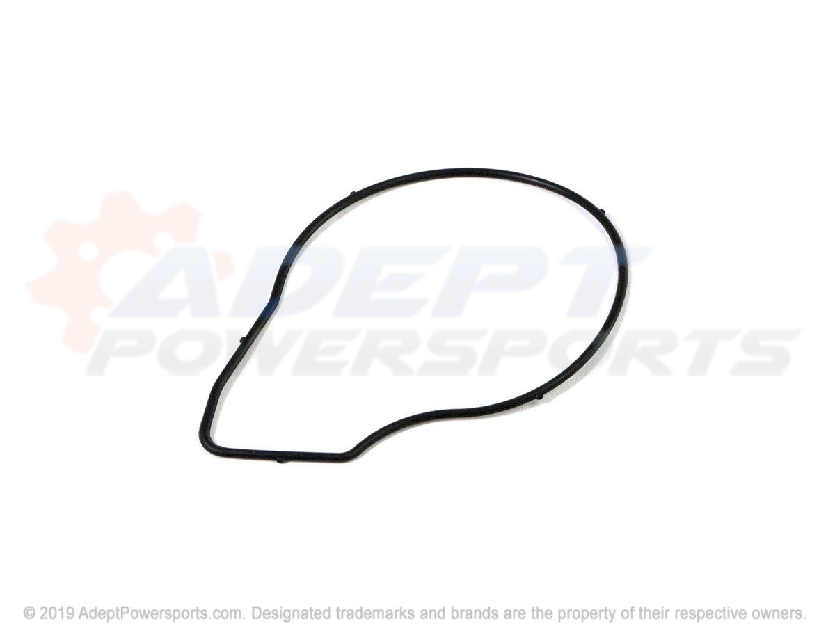Polaris 24446365 Seal, Water, Pump, Cover