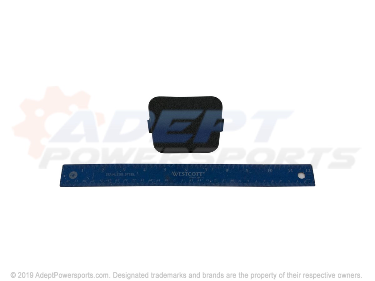 Polaris 5452517-070 Cover-Door, Hinge, Mount, Blk