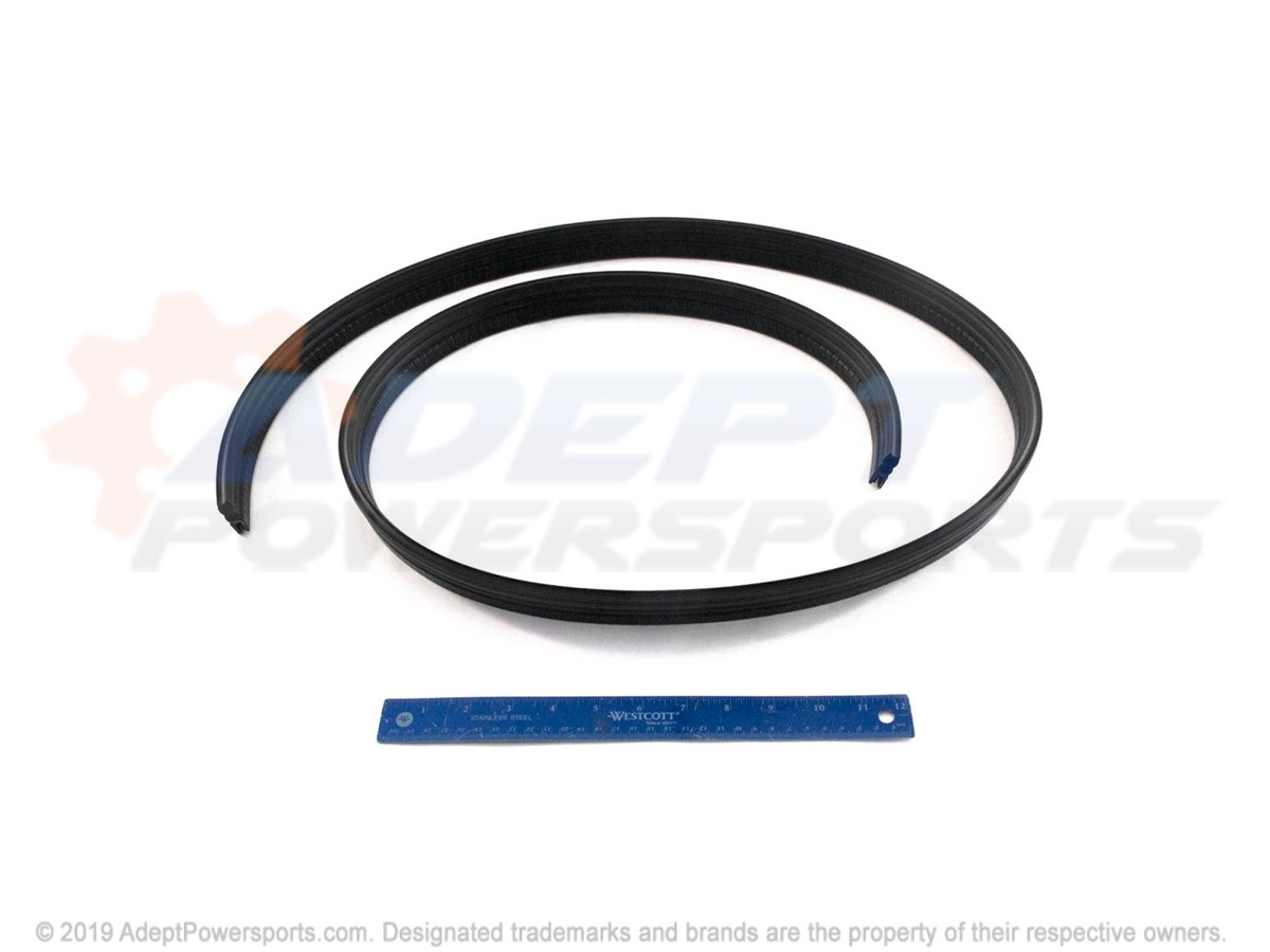 Polaris 5510895 Seal-Door