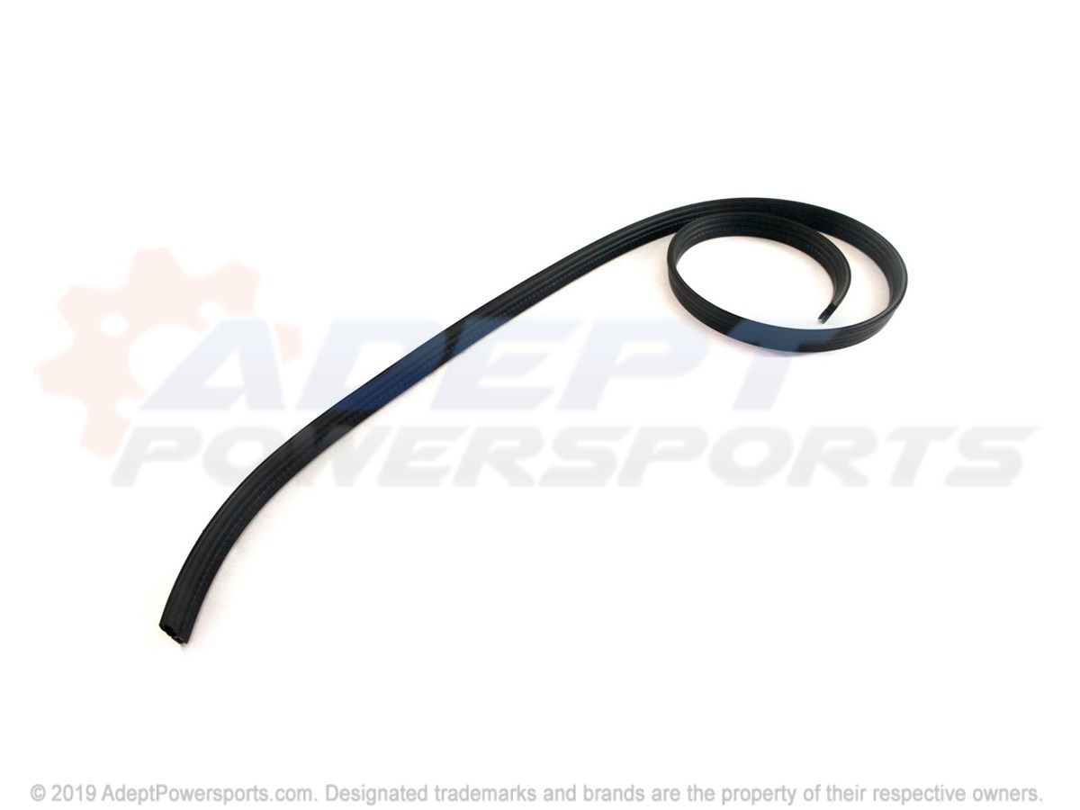 Polaris 5510895 Seal-Door
