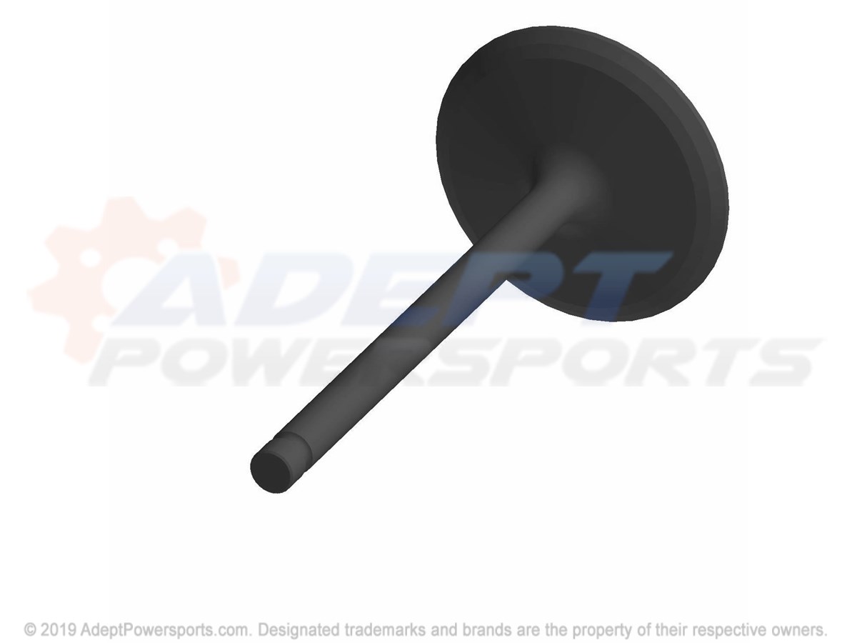 Polaris 3022703 Valve-Intake, 47Mm