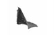 Polaris 5454969 Guard-Splash, Rh