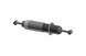 Polaris 7045206 Shock-Rr, Nivomat, Rgr