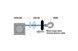 Polaris 5415787 Stop-Magnet, Bmpr, V2