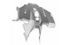 Polaris 5456118-133 Cab-Front, B.Wht