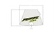 Polaris 7193664 Decal-Hood Cntr